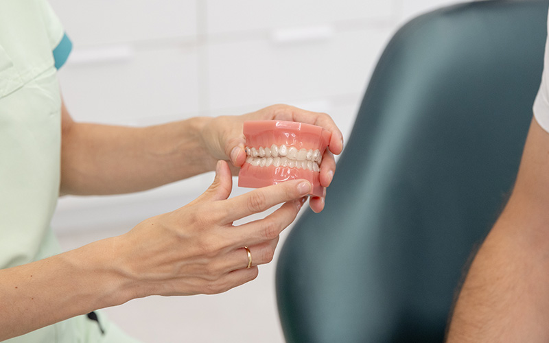 modelo de ortodoncia dental